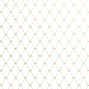 30" x 208' (quarter ream) - B389 - Beautiful Bows B389.30.208