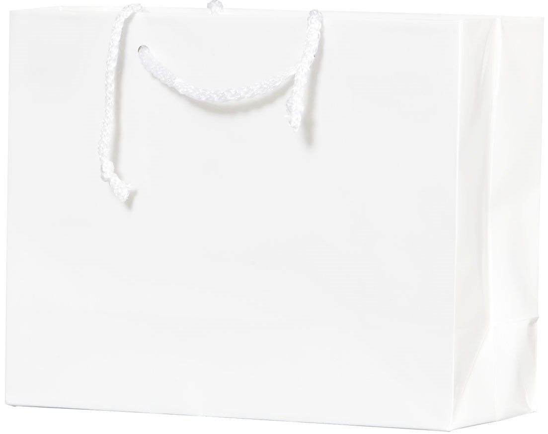9 x 3.5 x 7 Gloss Laminated Eurototes (Case of 100) Gloss-Laminated-Eurototes-9