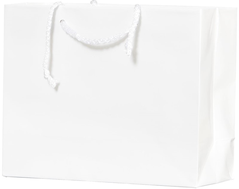 9 x 3.5 x 7 Gloss Laminated Eurototes (Case of 100) Gloss-Laminated-Eurototes-9