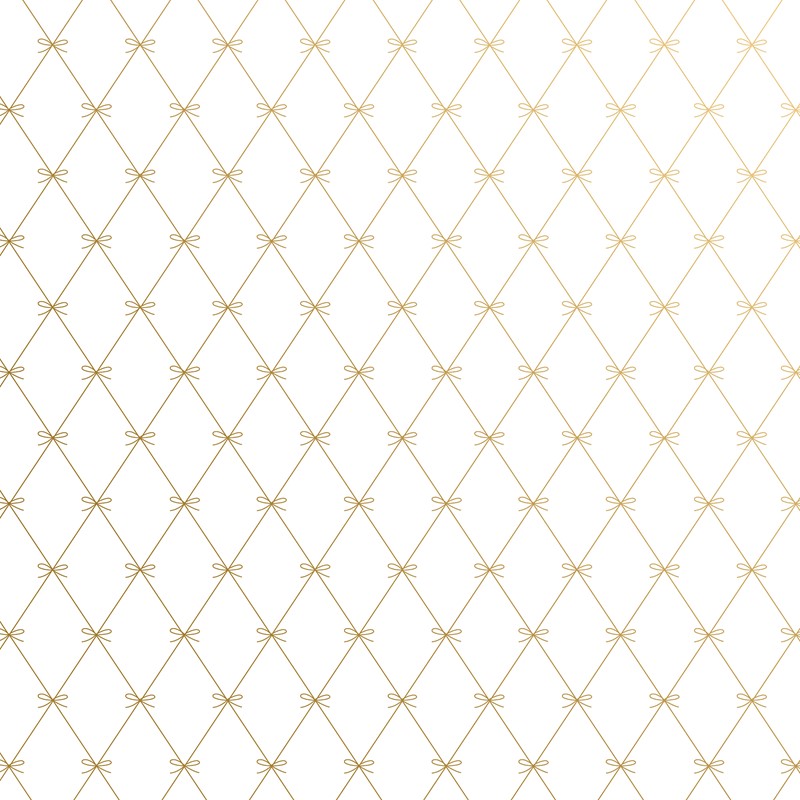 24" x 208' (quarter ream)  - B389 - Beautiful Bows B389.24.208