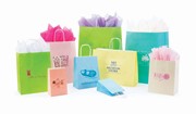 8 x 4.75 x 10.25 Matte Tints On White Shopping Bags (Case of 250) Matte-Tints-On-White-Shopping-Bags-8-Stamped View 2