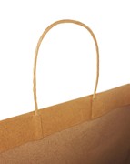 10x5x13  Ink Printed Premium Turn Top Brown Kraft Shopping Bags Premium-Turn-Top-10-INK-Brown View 2