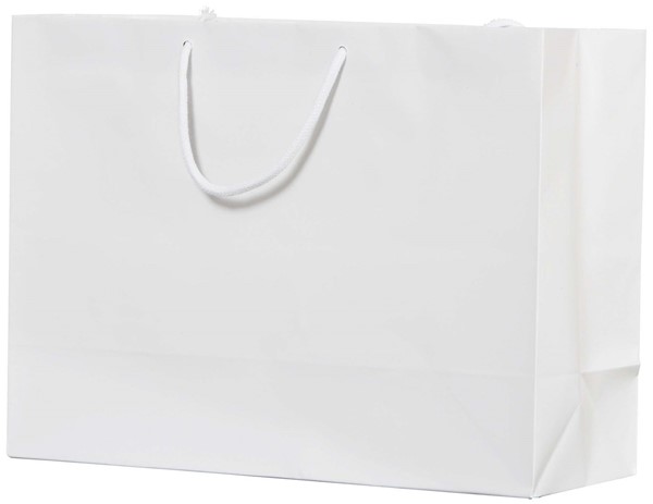 16 x 6 x 12 Matte Laminated Standard Eurototes (Case of 100)